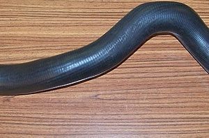 Radiator lower hose
