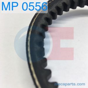 WATER PUMP BELT 5 GORDINI